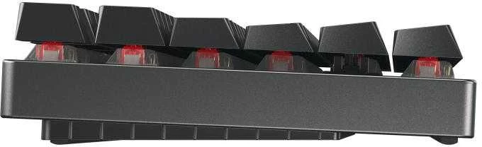 Klaviatūra - Cherry MX 8.2 TKL Wireless (Cherry, G80-3882LXADE-2, RGB, USB-C)