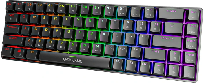 Fifine GK1 mechancial klaviatūra ,65% RGB (juodas)