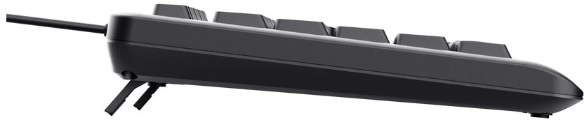 Klaviatūra - Trust Primo USB QWERTY klaviatūra su 104 klavišais reguliuojamas apšvietimas juoda