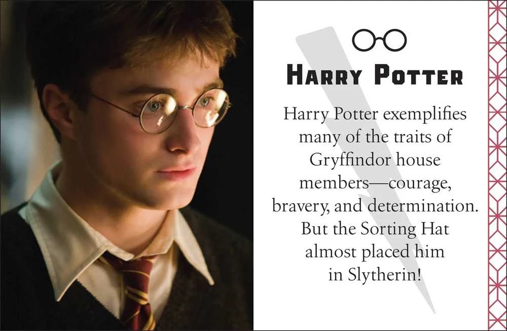 Dėlionė Knyga - Insight Editions Harry Potter: Gryffindor Kišeninis 192 Puslapiai