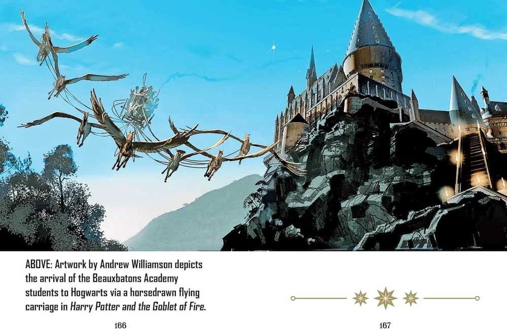 Dėlionė Knyga - Insight Editions Harry Potter Mini Knyga apie Personažus 304 Puslapiai 7.5 x 9.5 cm