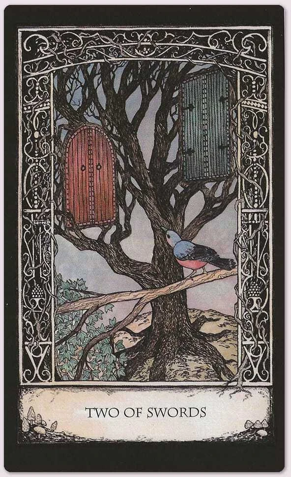 Kortos Ir Naudojimosi Vadovas Tarot Of Tales Cico Books