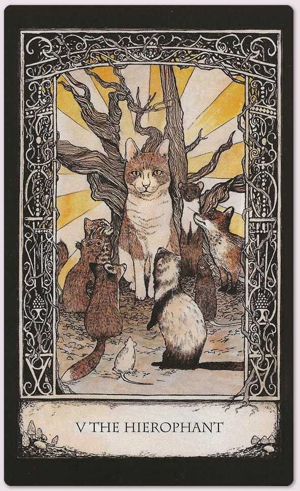 Kortos Ir Naudojimosi Vadovas Tarot Of Tales Cico Books