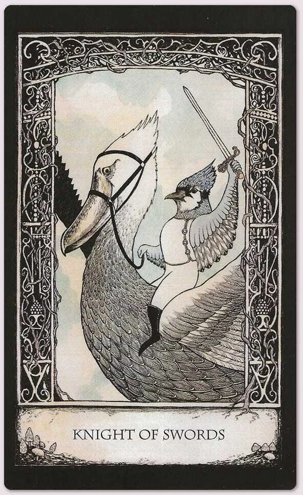 Kortos Ir Naudojimosi Vadovas Tarot Of Tales Cico Books