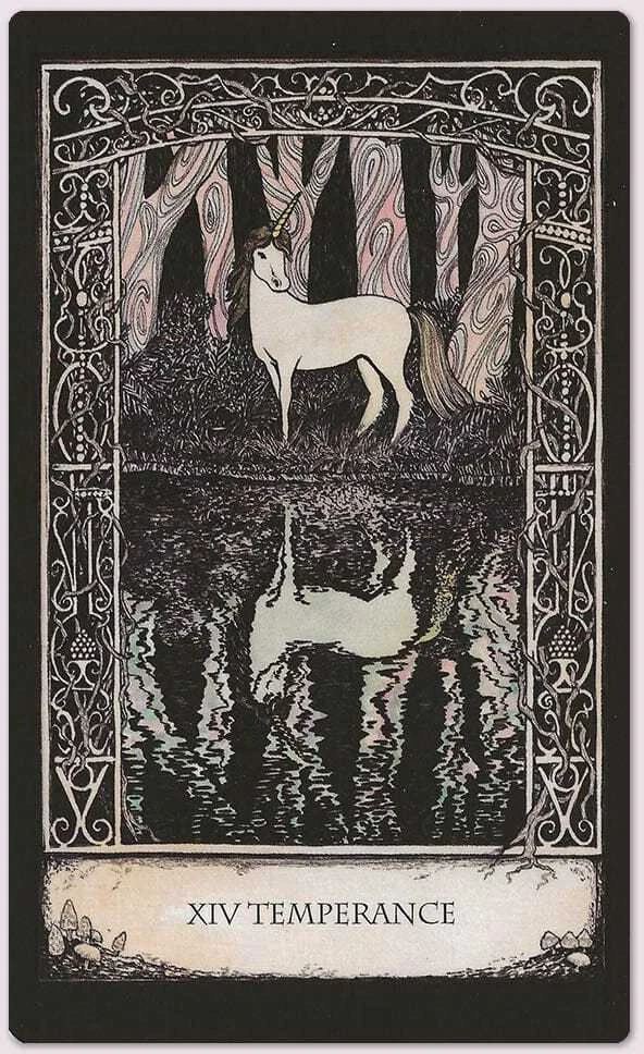 Kortos Ir Naudojimosi Vadovas Tarot Of Tales Cico Books