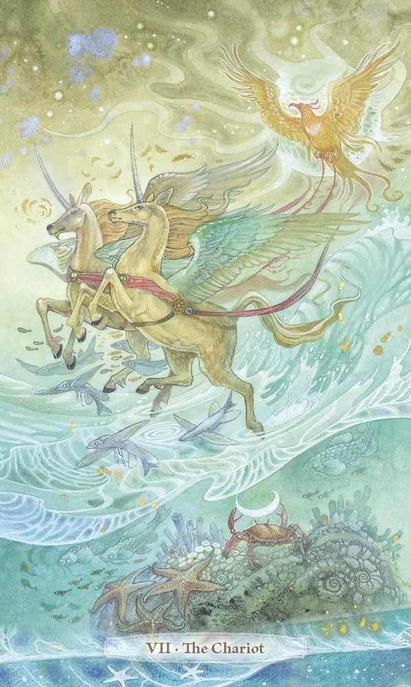 Llewellyn Verdance Tarot kortos – gamtos magija ir intuicijos galia