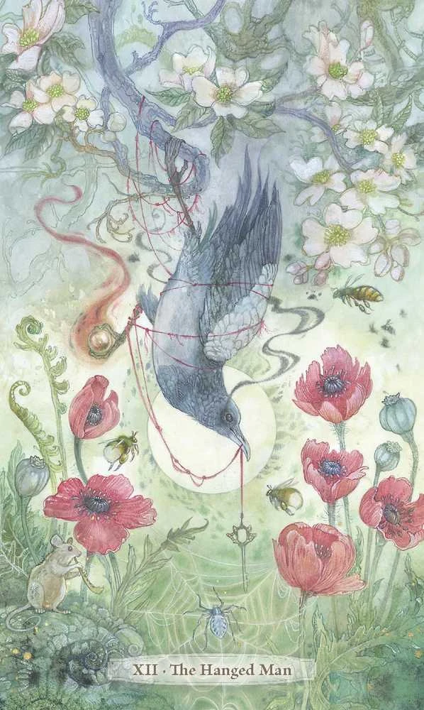 Llewellyn Verdance Tarot kortos – gamtos magija ir intuicijos galia