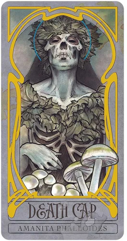 Us Games Systems Lady Stirling’s Wicked Garden orakulo kortos ir knyga – 32 kortų rinkinys