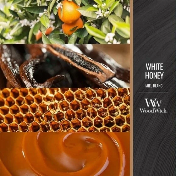 WoodWick Aromatinė žvakė (White Honey), 275 g