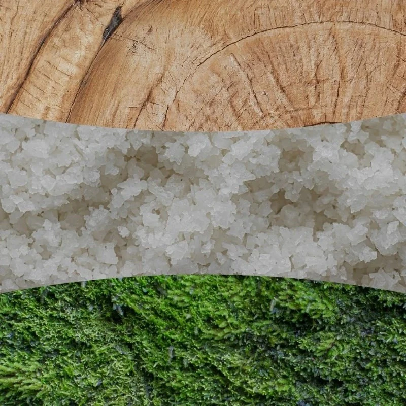 WoodWick Aromatinė žvakė (White Teak), 453,6 g