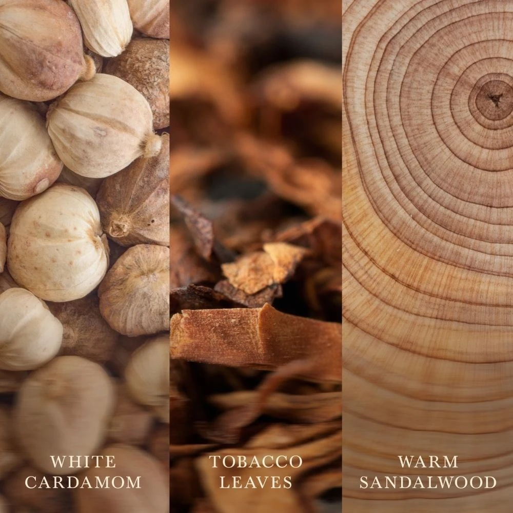 Woodwick Vudviko Iriso miškai