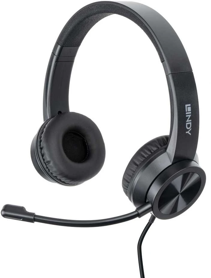 Ausinės - LINDY USB-C Ausinės, 40 mm Garsiakalbiai, Valdymo Mygtukai, 1,95 m Laidas, Juodos