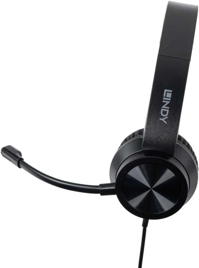 Lindy USB-C ausinės su mikrofonu šoniniu kampu