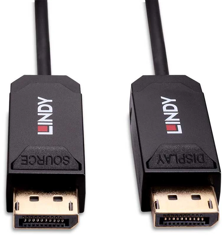 LINDY DisplayPort 2.0 kabelio jungtys su SOURCE ir DISPLAY žymomis