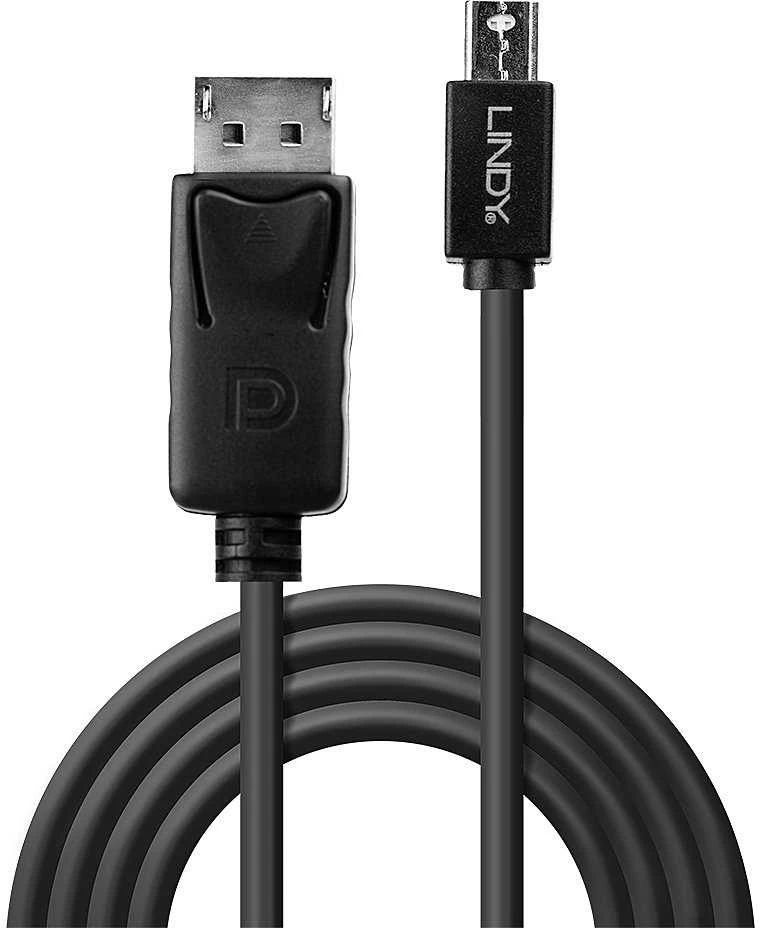 DisplayPort Kabelis - LINDY Mini DP į DP Kabelis, 2 m, Juodas