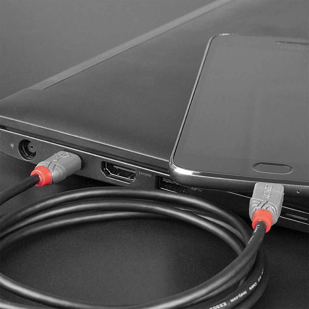 USB Kabelis - LINDY Anthra Line USB 2.0 Type C į Micro-B Laidas, M/M, 480Mbps, 2.5W, PVC Danga, 3 m, Juodas