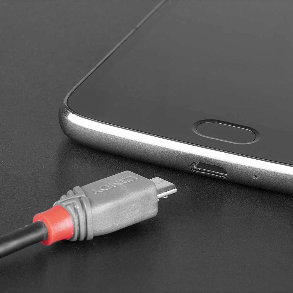 USB kabelis - LINDY 0.5m Type C į Micro-B 2.5W 480Mbps Anthra Line