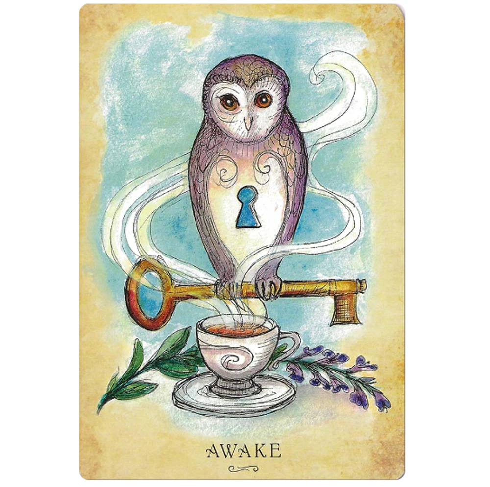 Llewellyn Anatomy Of A Witch Oracle Kortos