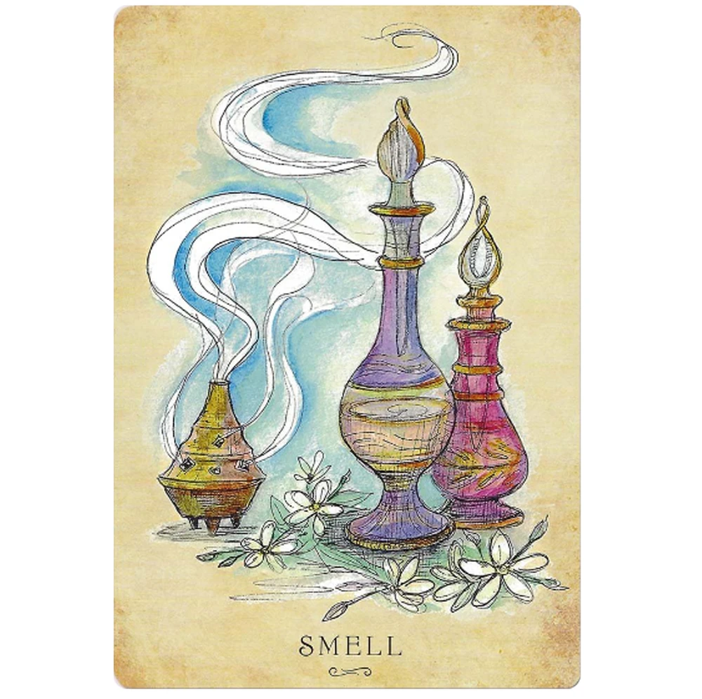 Llewellyn Anatomy Of A Witch Oracle Kortos