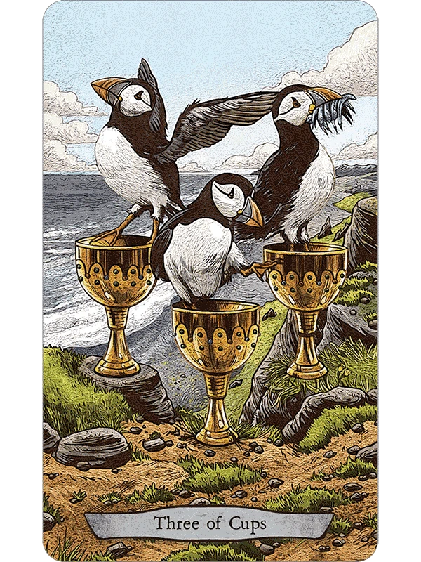Llewellyn Animal Totem Taro Kortos