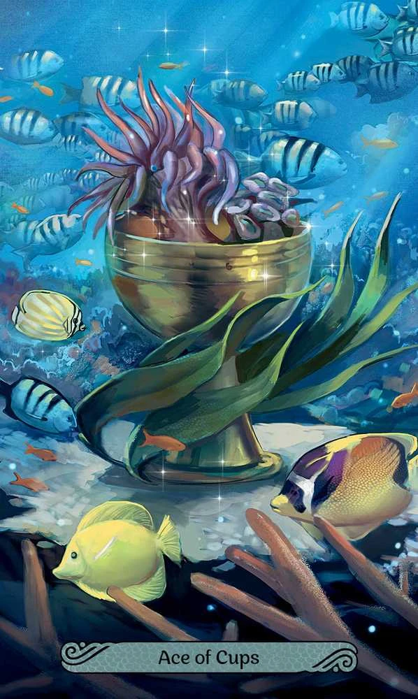 Llewellyn Mermaid Taro Kortos