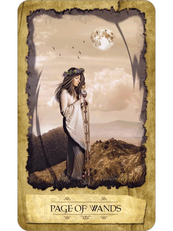 Llewellyn Mystic Dreamer Taro Kortos