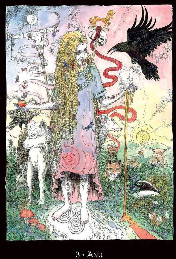 Llewellyn Orakulo kortų rinkinys - Call of the Morrigan 45 Kortų Gidas 21x17.5x5 cm