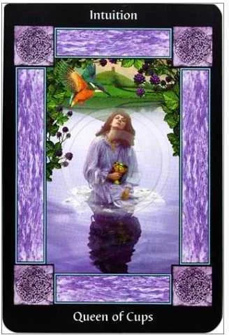 Llewellyn Sacred Circle Taro Kortos