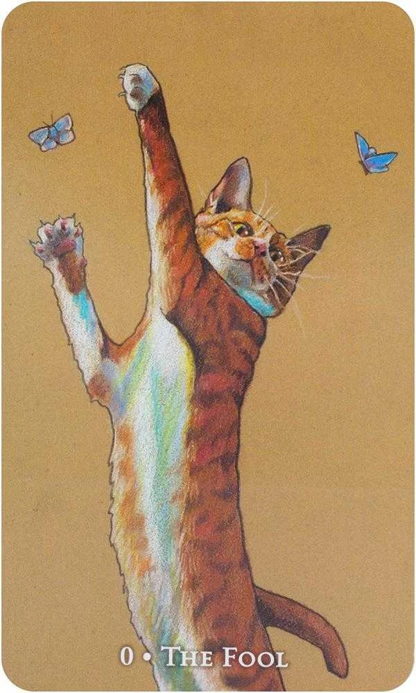 Llewellyn Scorpio Sea Tarot Kortos
