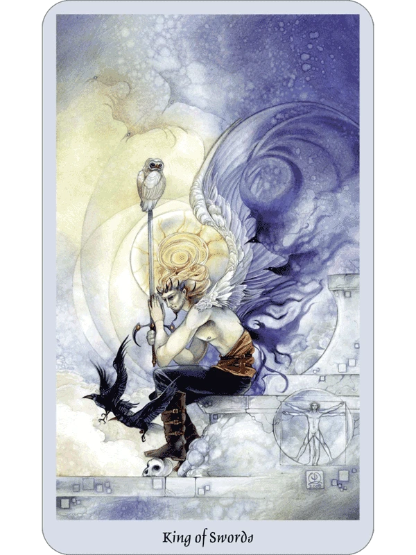 Llewellyn Shadowscapes Taro Kortos Ir Knyga (rinkinys)
