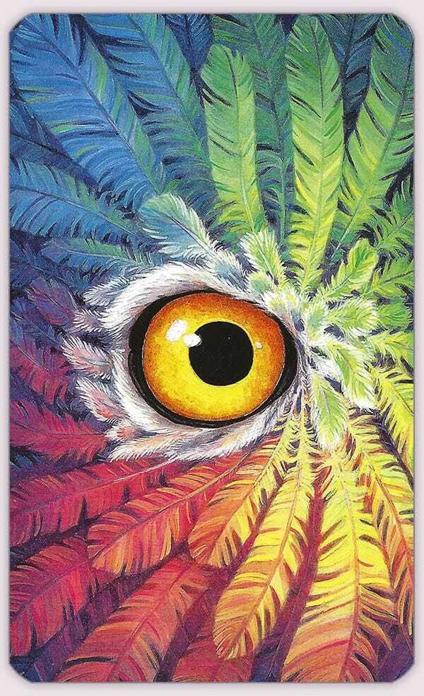 Llewellyn Tarot Of The Owls Kortos