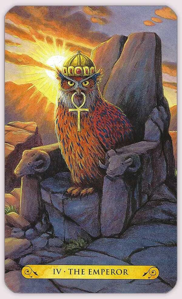 Llewellyn Tarot Of The Owls Kortos