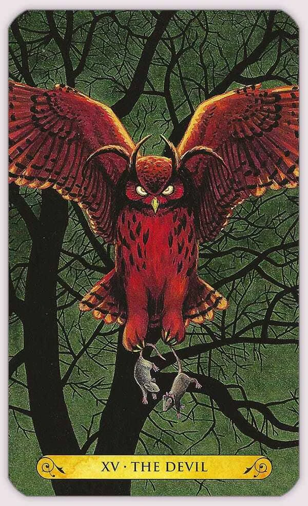 Llewellyn Tarot Of The Owls Kortos