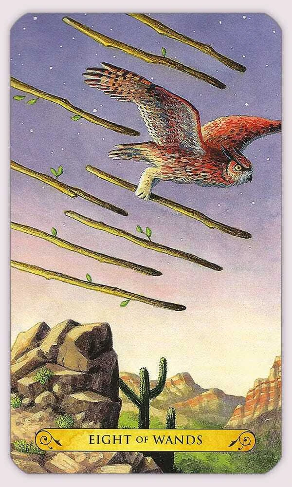 Llewellyn Tarot Of The Owls Kortos