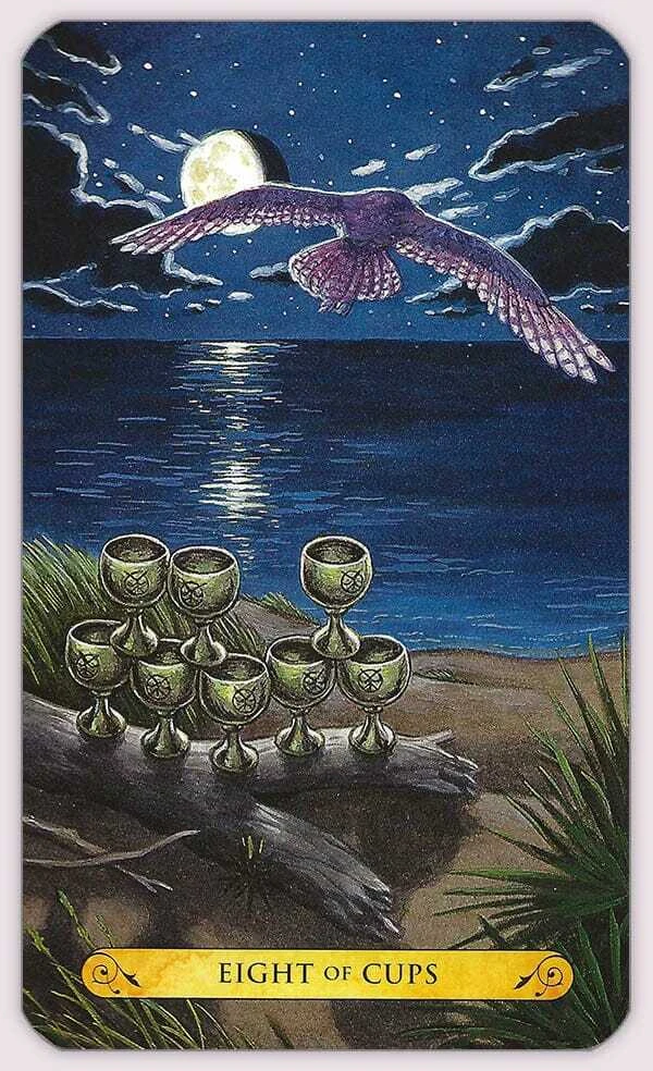 Llewellyn Tarot Of The Owls Kortos