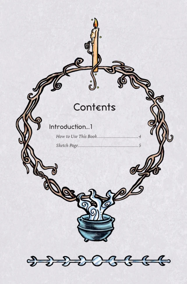 Llewellyn The Eclectic Witch's Book Of Shadows Knyga