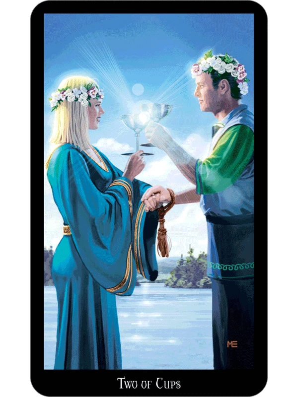 KNYGA Llewellyn Witches Taro Kortos