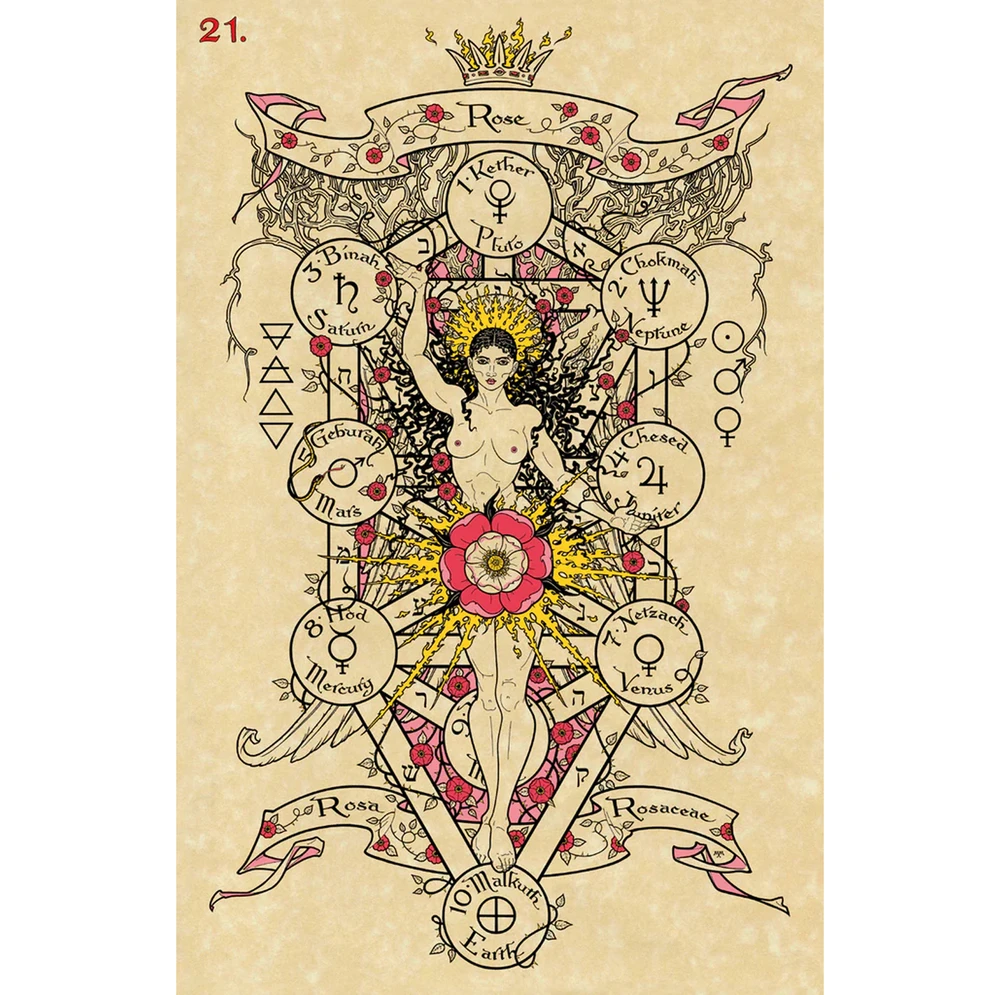 Lo Scarabeo The Magickal Botanical Oracle Kortos