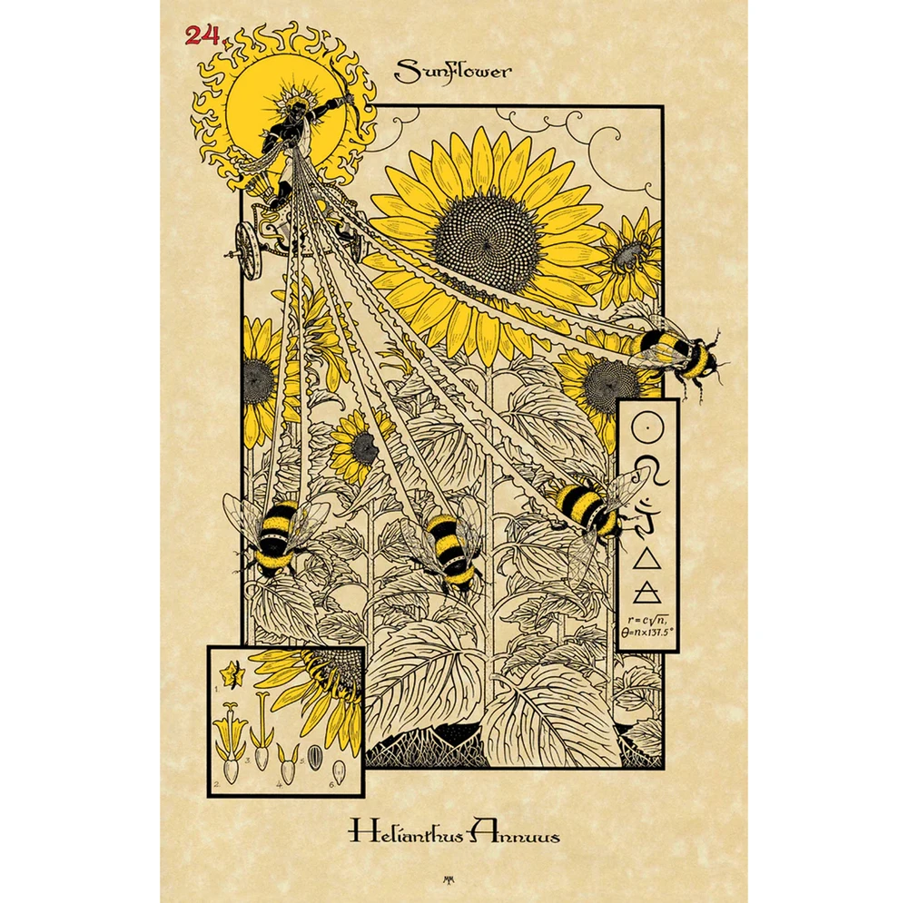Lo Scarabeo The Magickal Botanical Oracle Kortos