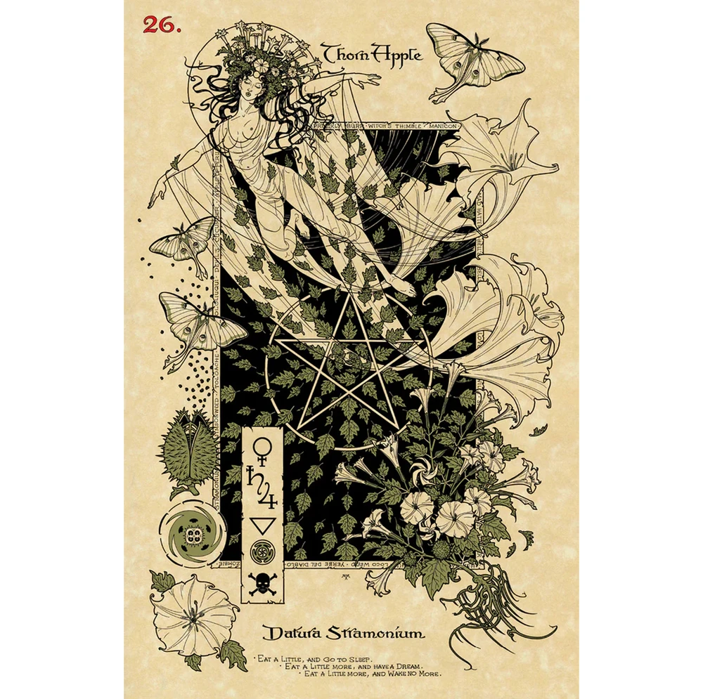 Lo Scarabeo The Magickal Botanical Oracle Kortos