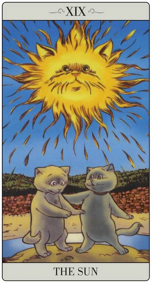 Lo Scarabeo The Way Jodorowsky Explained Tarot To His Cat Kortos