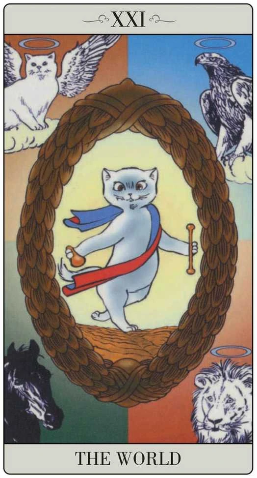 Lo Scarabeo The Way Jodorowsky Explained Tarot To His Cat Kortos