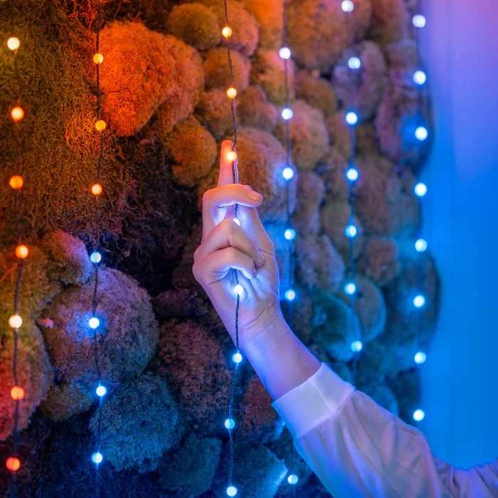 Kalėdinė girlianda Twinkly Candies 200 RGB LED USB- C, žalios spalvos laidas