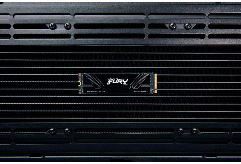 M.2 SSD - Kingston Fury Renegade Internal (SFYR2S 4T0) SSD 4TB