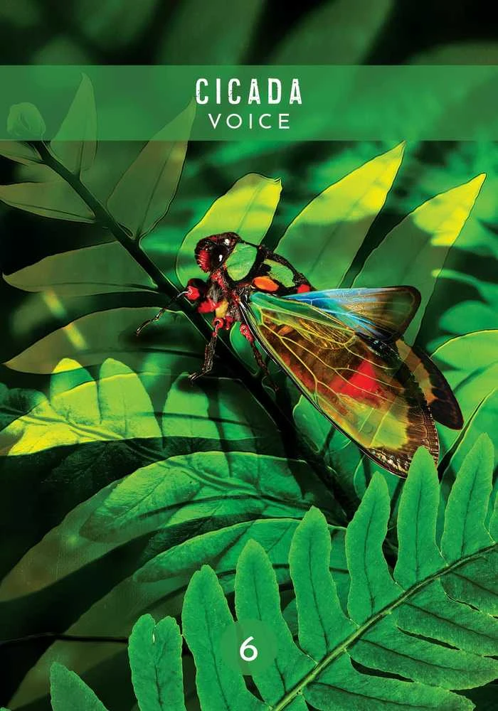 Messages from the Spirits of Nature Oracle kortos Hay House