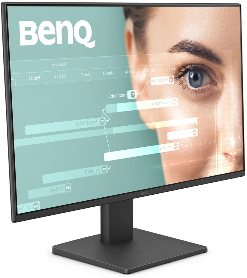 Monitorius BENQ GW2491 24" FHD IPS 100HZ HDMI/DP