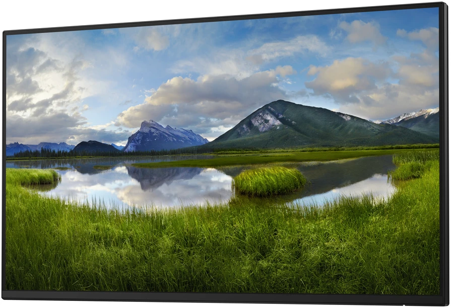 LCD Monitorius Dell P2425H, be stovo, 1920 x 1080 Full HD, 61 cm (24"), 250 cd/m²