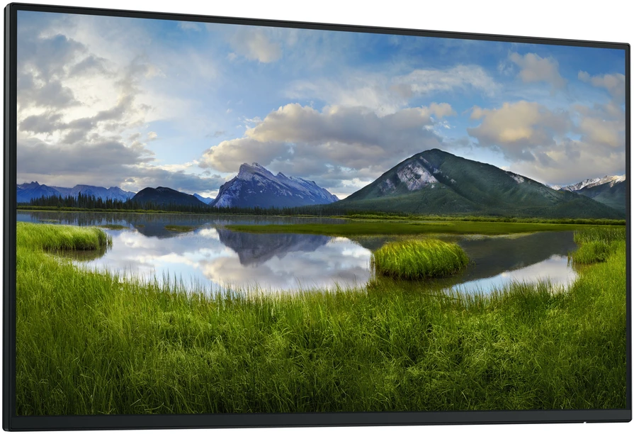 LCD Monitorius Dell P2425H, be stovo, 1920 x 1080 Full HD, 61 cm (24"), 250 cd/m²