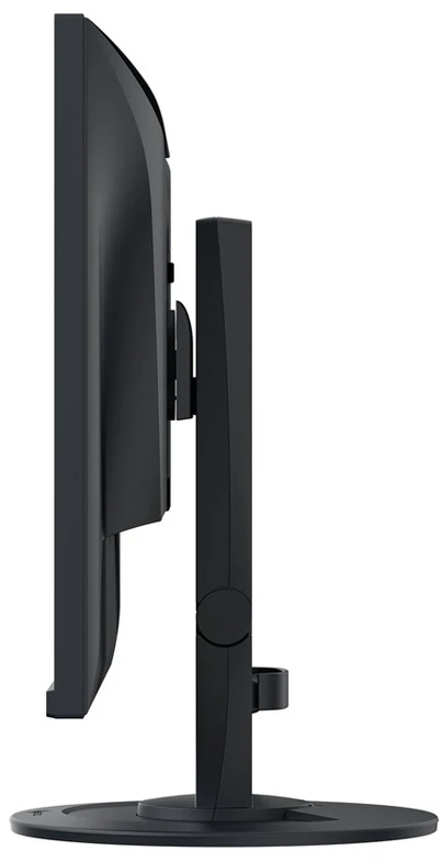 Monitorius - EIZO EV2410R-BK 24,1" Juodas