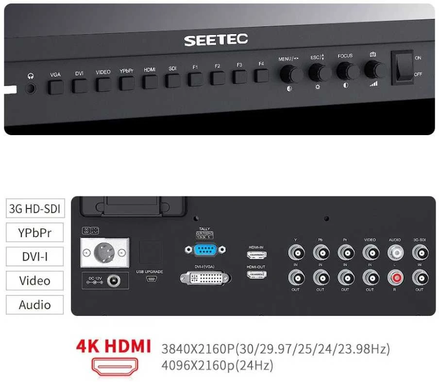 Seetec monitorius P173-9HSD 17.3"